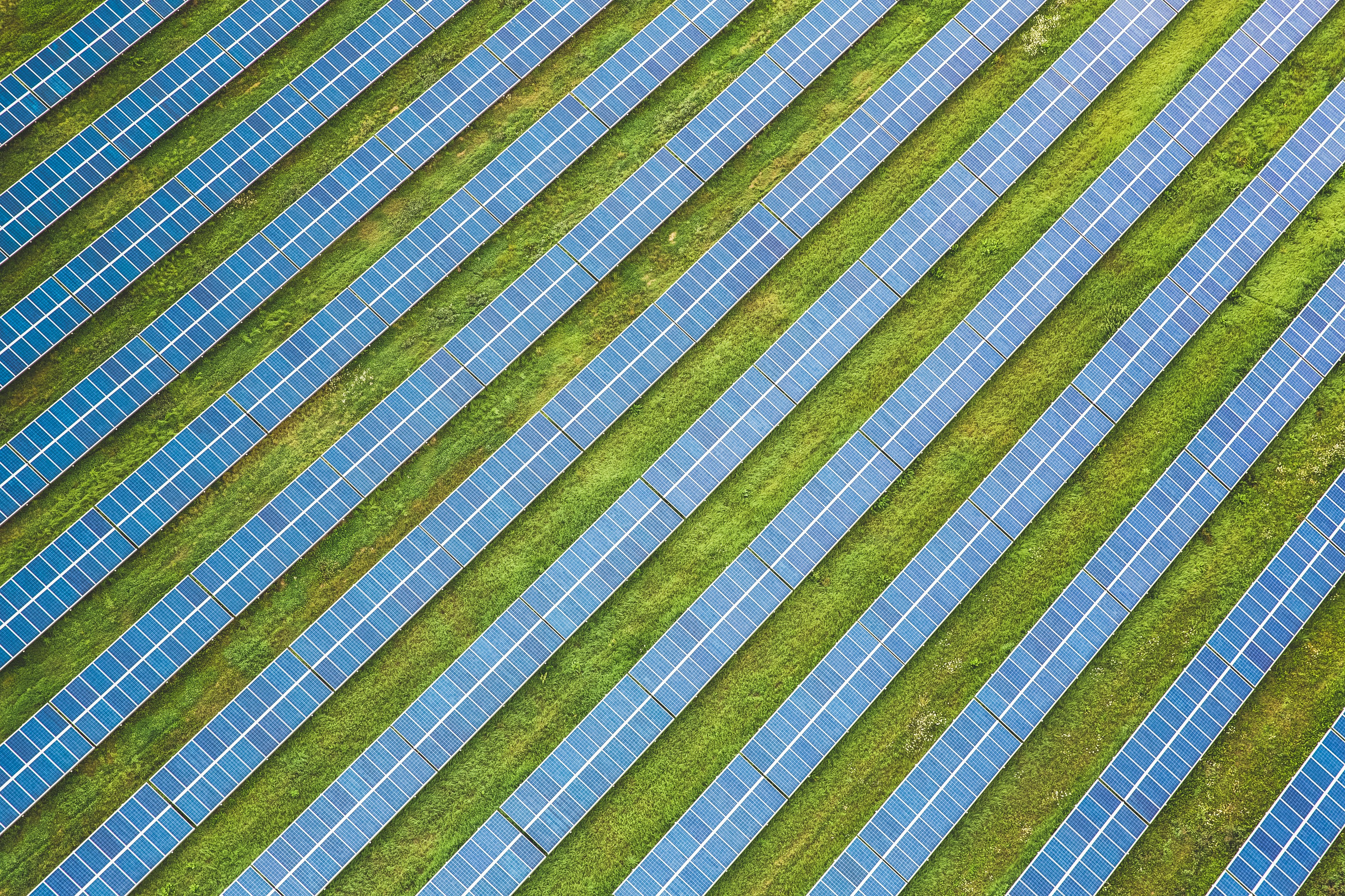 Agri-PV Solar Installation